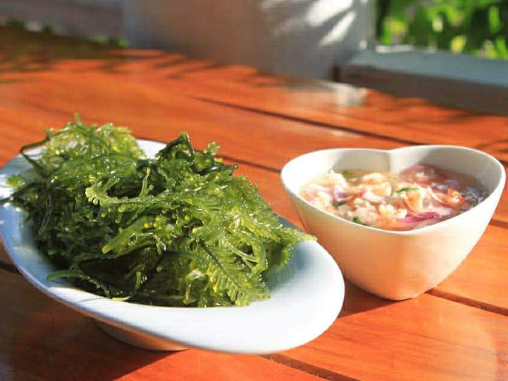 Spicy Seaweed Salad with Shrimp — Baitoey Seafood Krabi